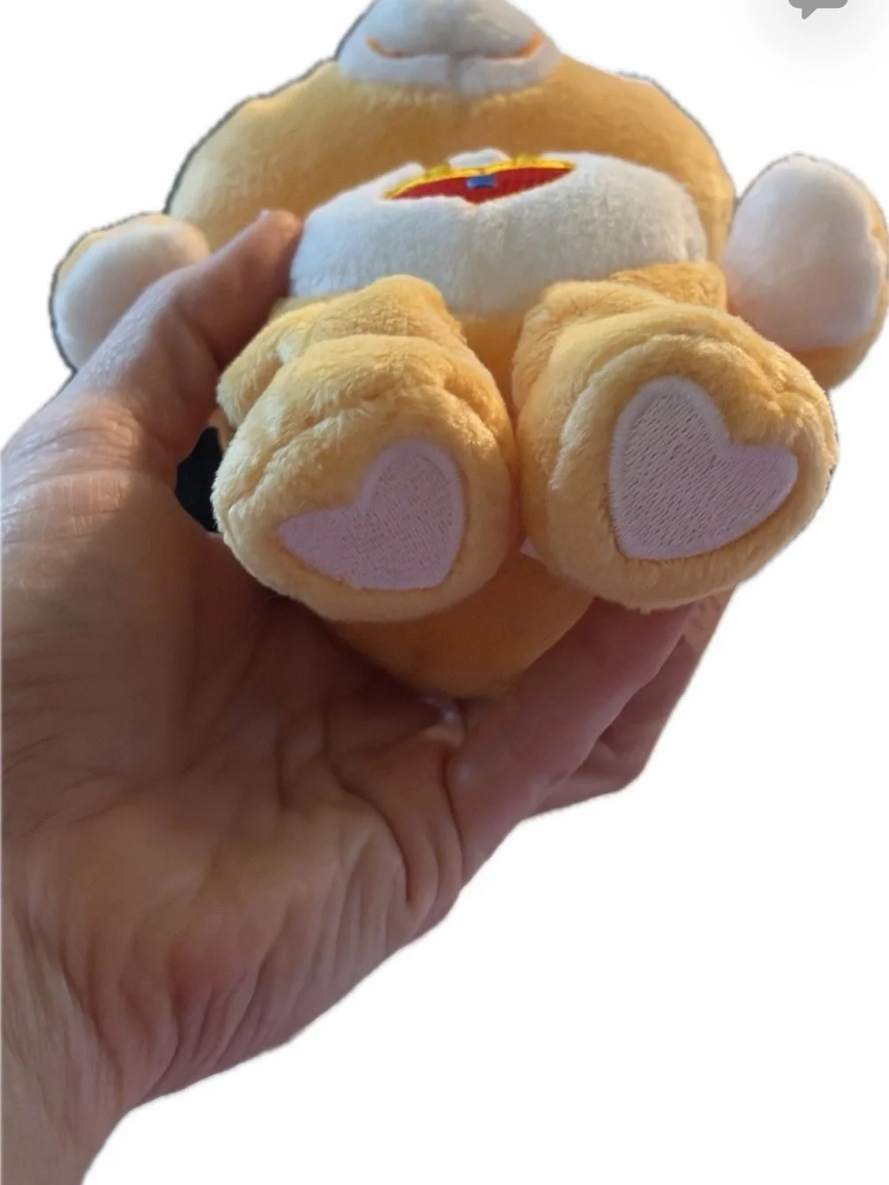 20th Anniversary collection Secret Bear